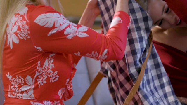 Превью Две блондинки нежно ласкают влажные пилотки друг друга и кончают № 35667