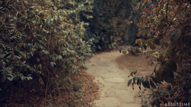 Превью Молодые девушки только учатся правильно вылизывать киски друг друга № 35838