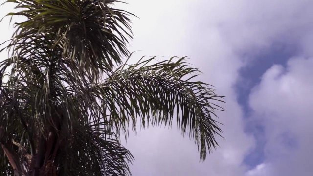 Превью Лесбиянка села на лицо подруги, чтобы насладиться оральными ласками № 35844