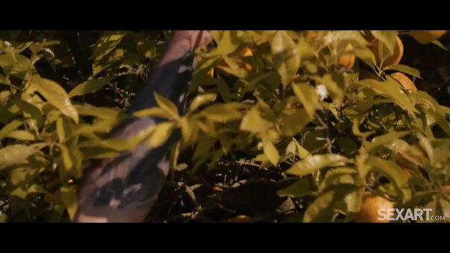 Превью Девушка занялась сексом с новым знакомым на пляже № 39645