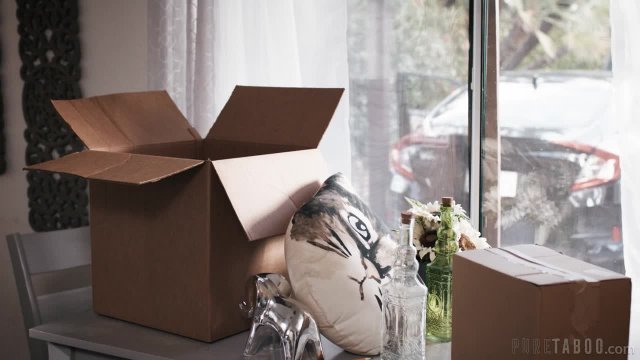 Превью Переезд к ебливому дядюшке № 45425